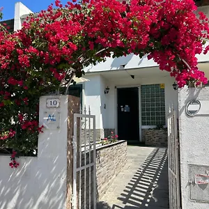 https://bing-garden-guesthouse.hotels-lisbon-portugal.com